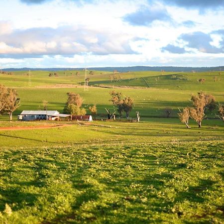 Wantana Cottage Farmstay Boorowa Bagian luar foto