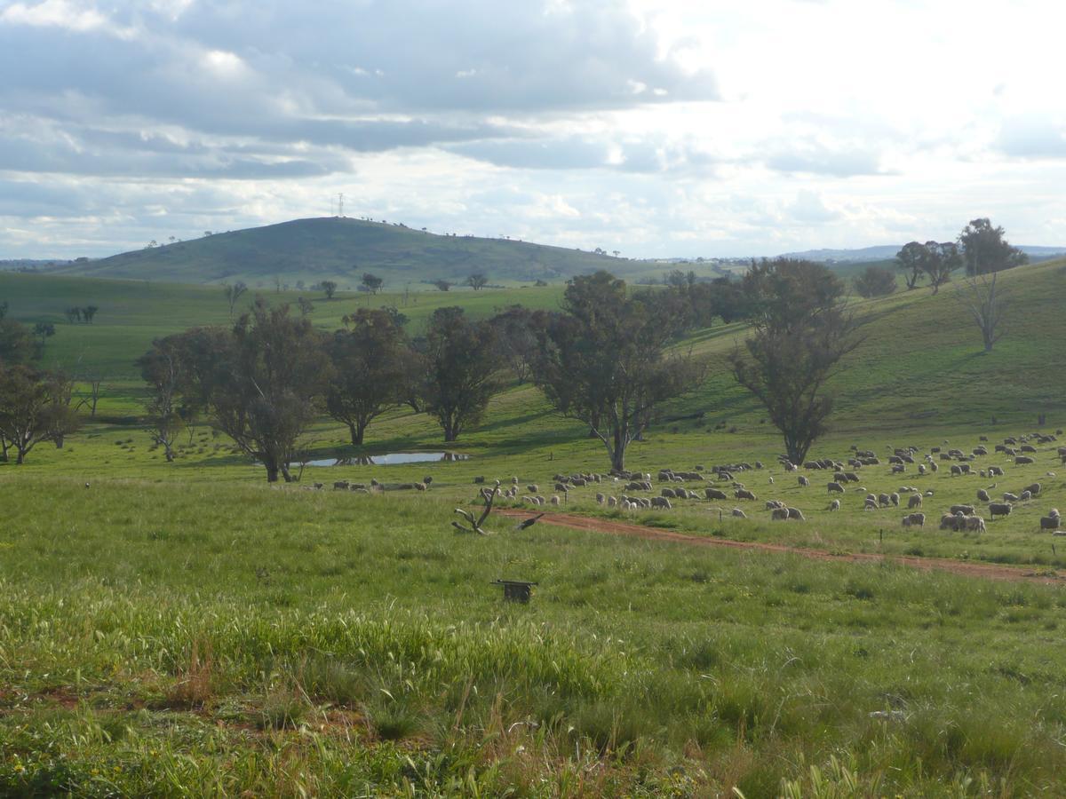 Wantana Cottage Farmstay Boorowa Bagian luar foto