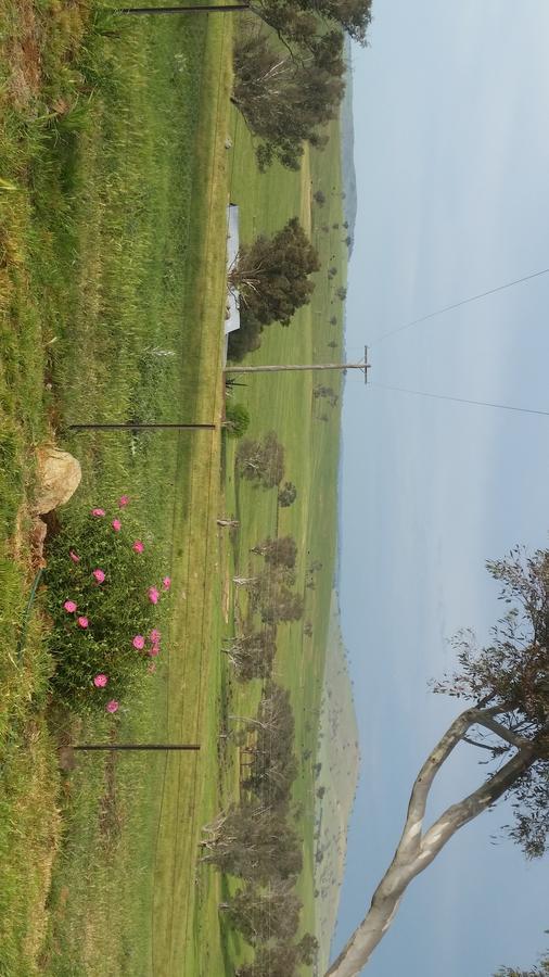 Wantana Cottage Farmstay Boorowa Bagian luar foto