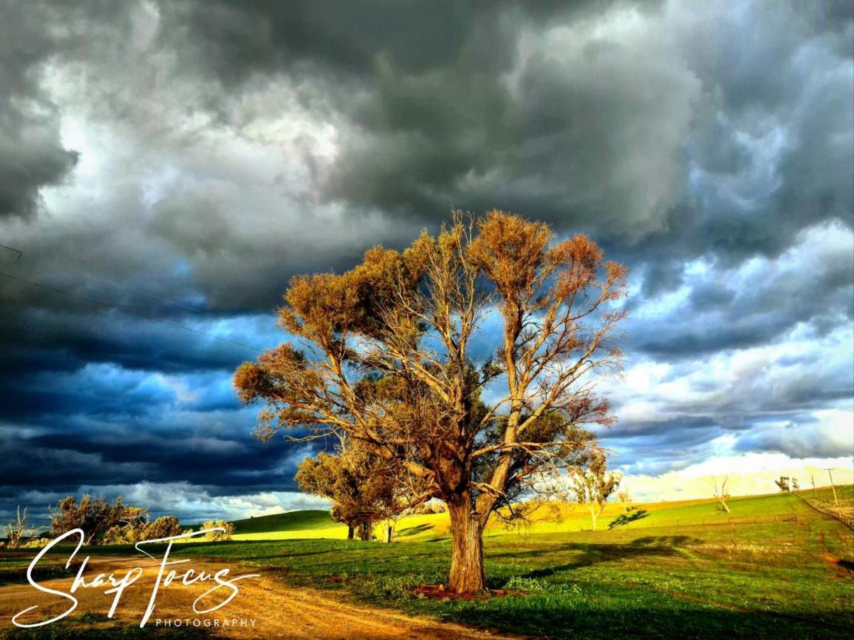 Wantana Cottage Farmstay Boorowa Bagian luar foto
