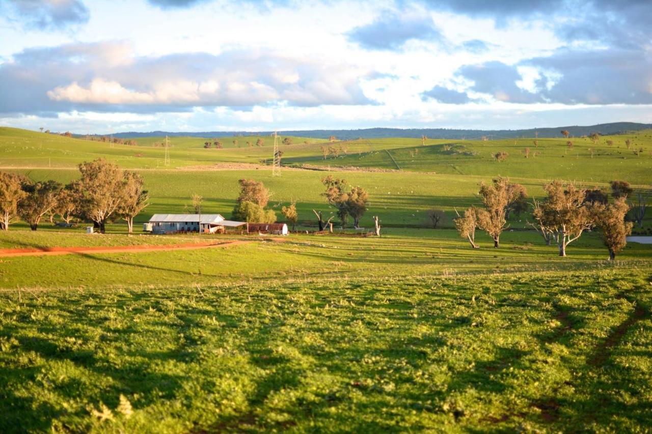 Wantana Cottage Farmstay Boorowa Bagian luar foto